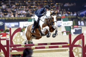 ULYSS FINISHES THE 2017 SEASON PLACED IN THE GRAND PRIX 1.45 m AT THE MECHELEN SHOWJUMPING